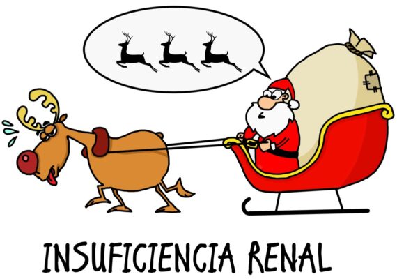 Insuficiencia Renal - Imagen 2
