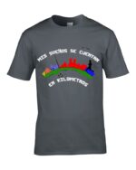 Mis Sueños se Cuentan en Kilometros - Imagen 7