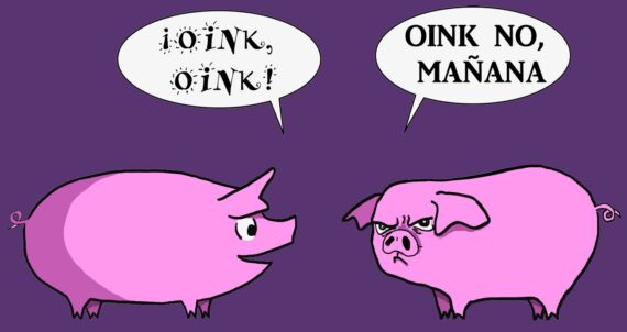 Oink Oink - Imagen 2