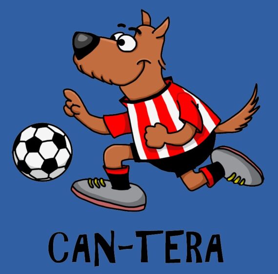 Cantera - Imagen 2