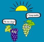 Tempranillo - Imagen 2